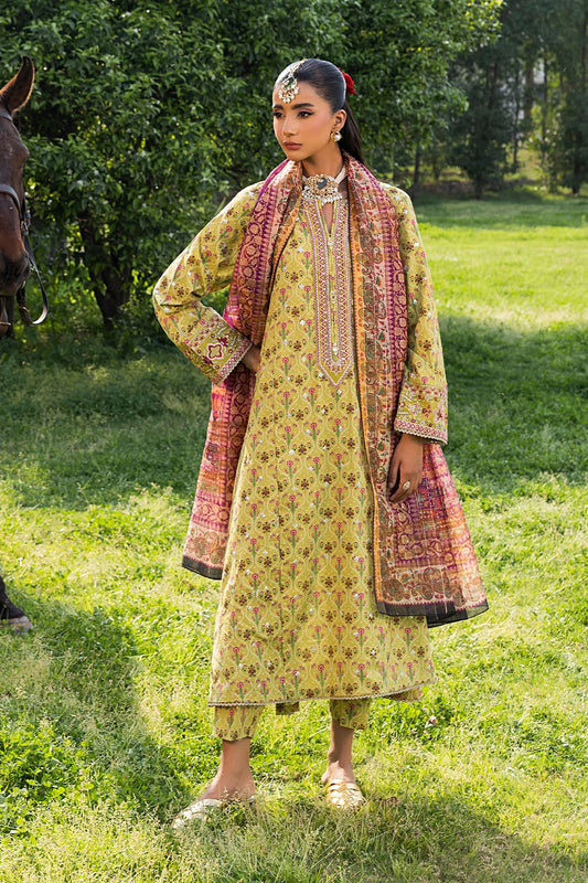 Mehek Lime Green Frock Suit