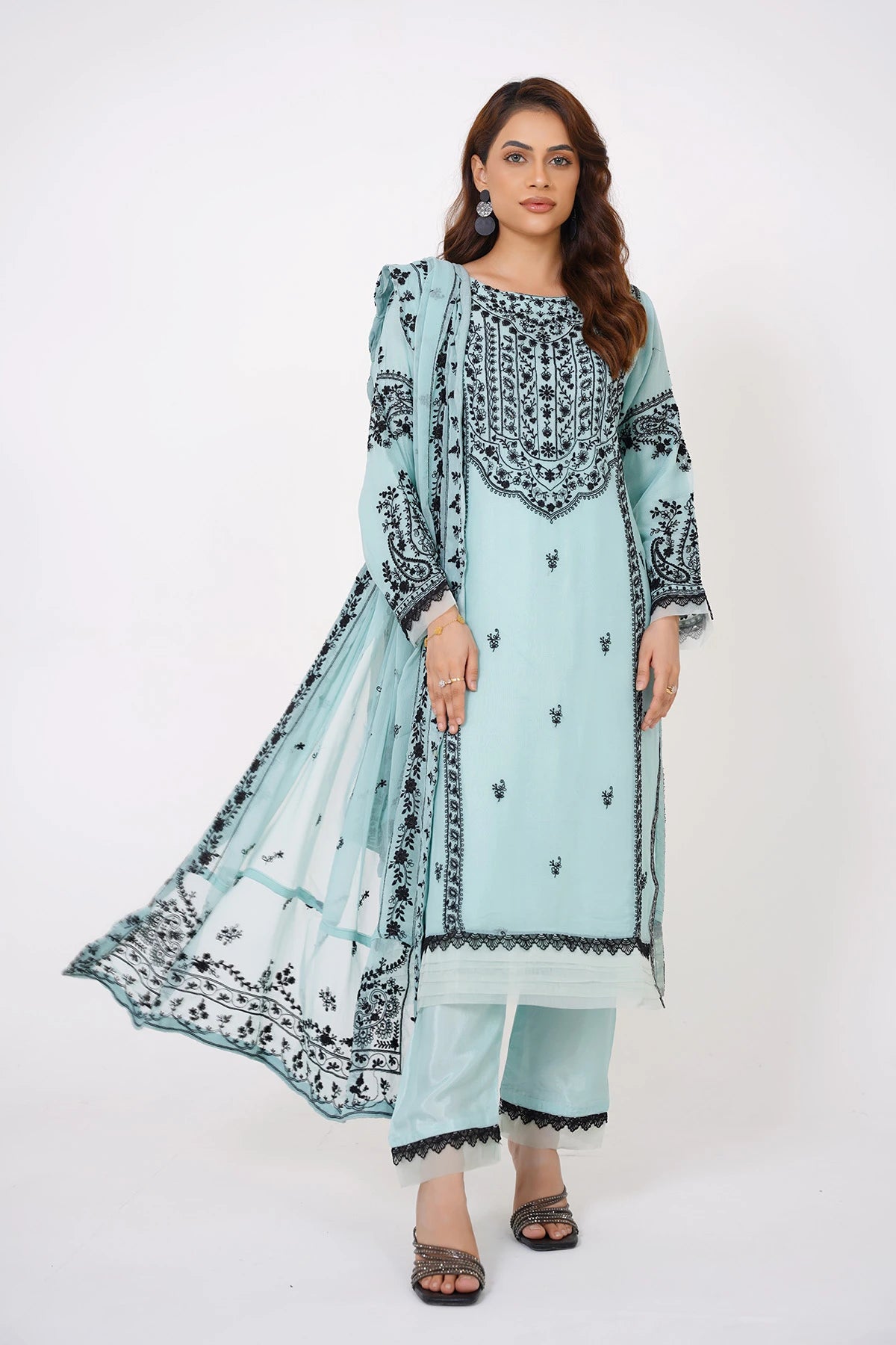 Powder Blue Chikankari Kashif Salwar Suit