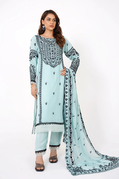 Powder Blue Chikankari Kashif Salwar Suit