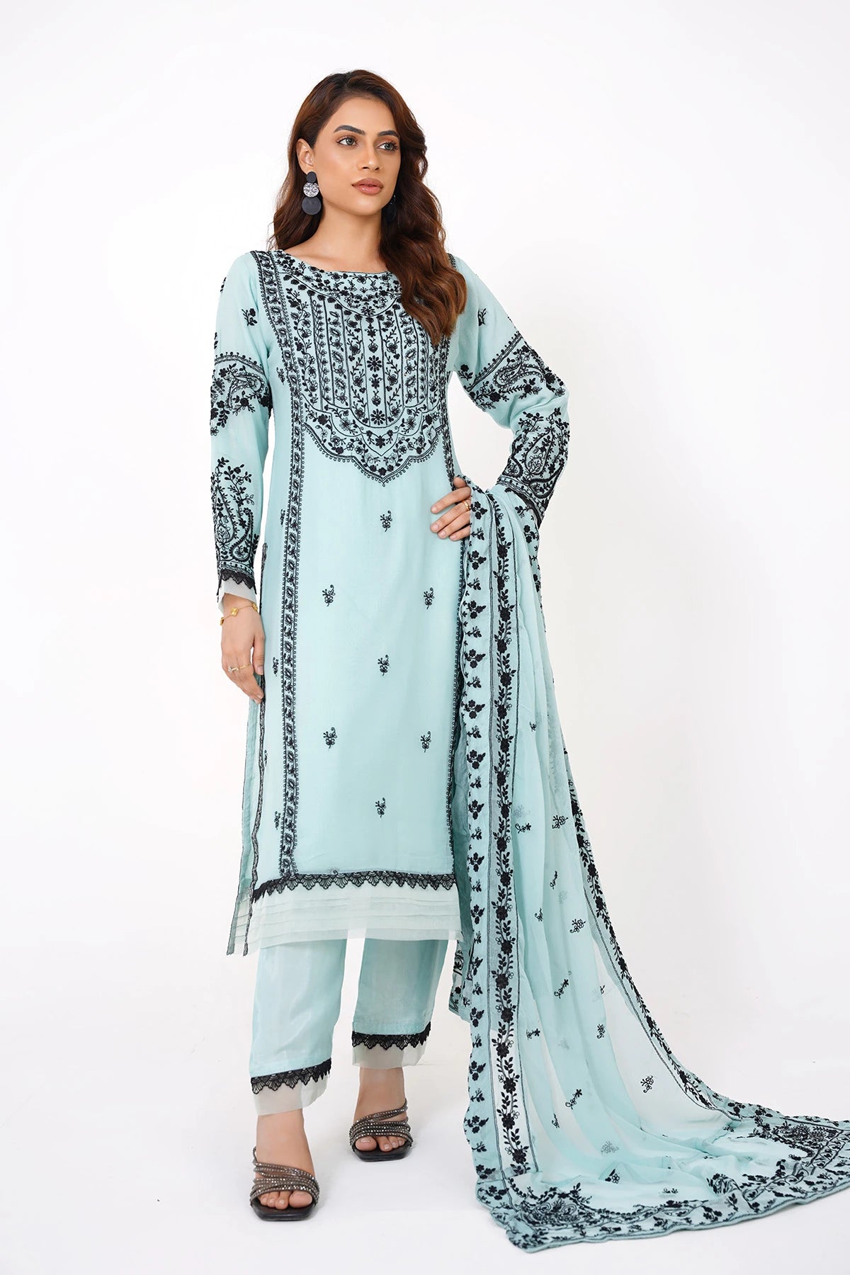 Powder Blue Chikankari Kashif Salwar Suit