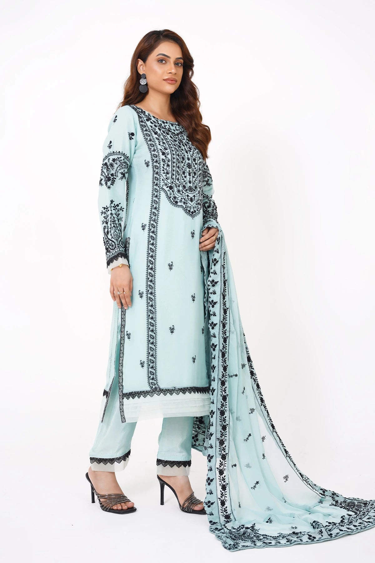 Powder Blue Chikankari Kashif Salwar Suit