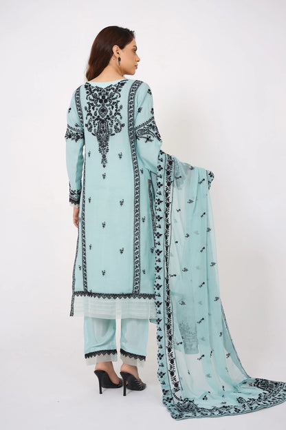 Powder Blue Chikankari Kashif Salwar Suit