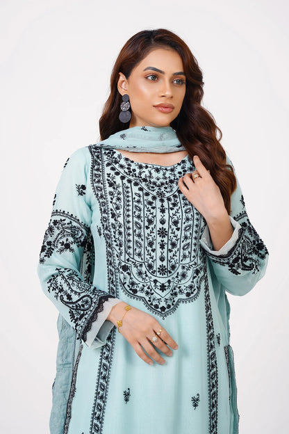 Powder Blue Chikankari Kashif Salwar Suit