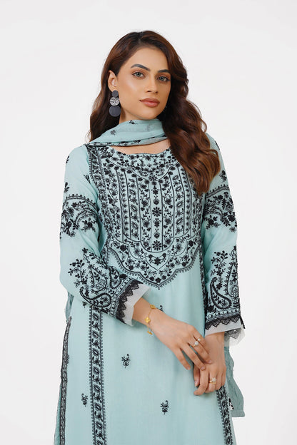 Powder Blue Chikankari Kashif Salwar Suit