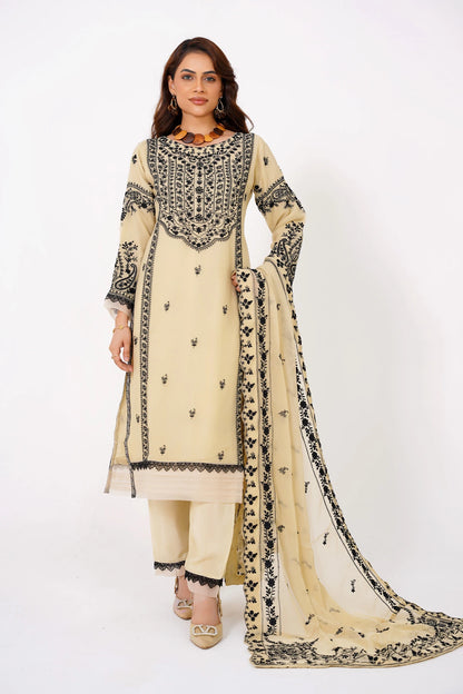 Khaki Chikankari Kashif Salwar Kameez Suit